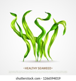 Spirulina healthy super food seaweed rich in protein antioxidants algae realistic advertising poster white background vector illustration