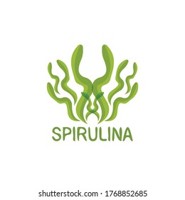 Spirulina icon and symbol vector logo template illustration