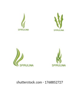 Spirulina icon and symbol vector logo template illustration