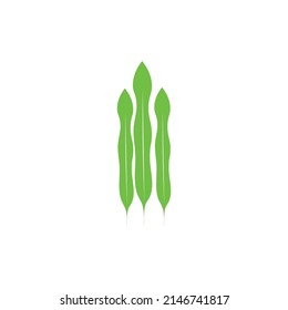 Spirulina icon template vector design