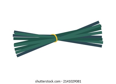 Spirulina isometric composition with isolated image of tied spirulina sticks on blank background vector illustration