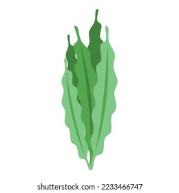 Icono de la hoja de espirulina vector isométrico. Planta de Alga. Bebida medicamentosa