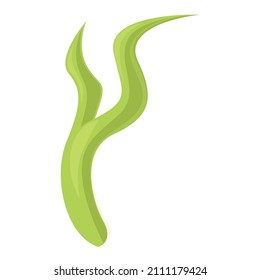 Spirulina plant icon cartoon vector. Powder alga. Food algae
