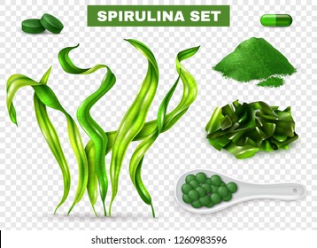 Spirulina realistic set with seaweeds  supplement capsules tablets green powder chopped dried algae transparent background vector illustration