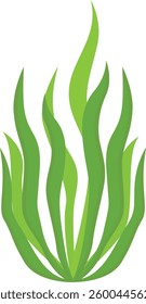 Spirulina Seaweed design vector Illustration