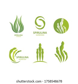 Spirulina seaweed leaf logo illustration vector design