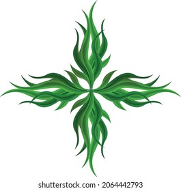 Spirulina seaweed leaf vector drawing Illustrator EPS 10