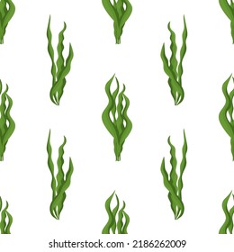 Spirulina. Algas marinas. Patrón de color vectorial sin brillo. Antecedentes.