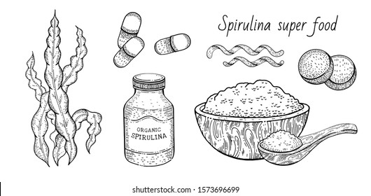 Spirulina seaweed set. Hand drawn sea plant, super food engraved drawing. Spirulina superfood detox collection. Sketch vector illustration isolated on white background. Powder bowl, spoon, pill bottle