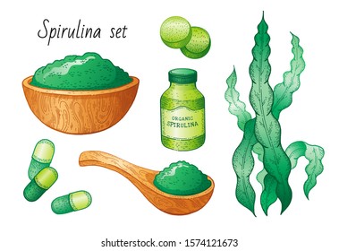 Spirulina seaweed set. Hand drawn sea plant, super food green drawing. Spirulina superfood detox collection. Sketch vector illustration, isolated white background. Powder bowl, spoon, pill bottle art