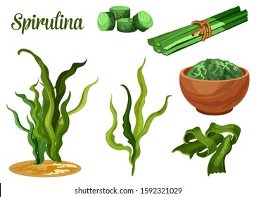 Spirulina seaweed, vector sea algae food plant. Dried tablets and powder of spirulina seaweed for healthy food and dietary supplement package design