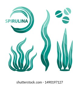 Spirulina seaweeds design elements. Underwater detox food.