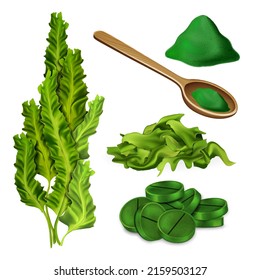 Spirulina Underwater Plant And Powder Set Vector. Underwater Seaweed Ingredient For Preparing Supplement Pills And Biomass In Wooden Spoon. Algae Aqua Herb Template Realistic 3d Illustrations