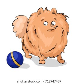 spitz dog with ball