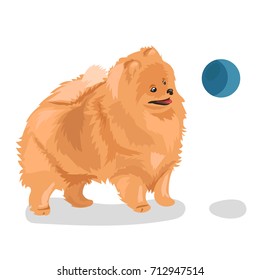 spitz dog with ball