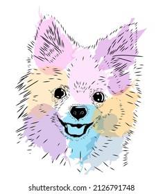 Spitz, dog. Colorful blots, sketch. Pet. Fluffy breed. Stock vector image isolated on white background. Smile. black and white illustration