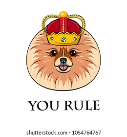 Spitz dog in crown. Dog king. Vector illustration