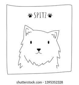 Spitz dog doodle hand drawn cartoon illustration flat vector design.