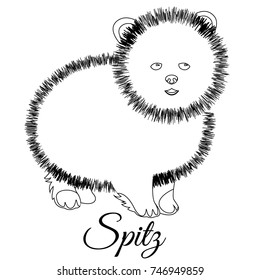 Spitz dog outline vector illustration