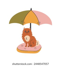 Spitz dog resting under a beach umbrella. Cute fluffy puppy sitting on pillow. Summertime leisure relax. Pet vector illustration in cartoon flat style.