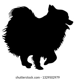 Spitz Dog Silhouette On White Background Stock Vector Royalty Free