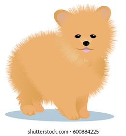 Spitz dog vector illustration