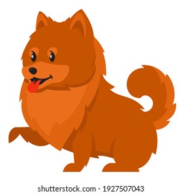 Spitz giving paw. Cute pet in cartoon style.