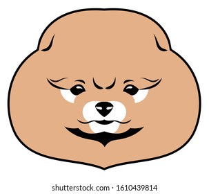 Spitz puppy portrait, vector art