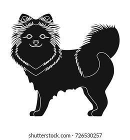 Spitz Single Icon Black Stylespitz Vector Stock Vector (Royalty Free ...