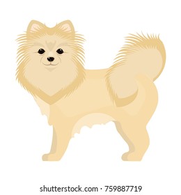 Spitz single icon in cartoon style.Spitz bitmap,raster symbol stock illustration web.
