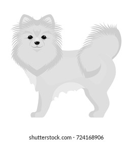 Spitz single icon in monochrome style.Spitz vector symbol stock illustration web.