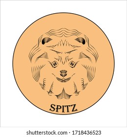 
Spitz vector logo on a beige background