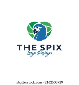 spix macaw logo design. Vector illustration of spix macaw bird and  love. modern logo design vector icon template
