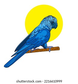 Spix's Macaw Color Vector Illustration Isolated On White Background