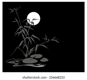 Splash of frogs at night