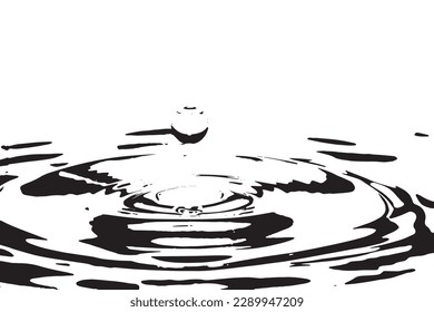 splash isolated on black water drop texture