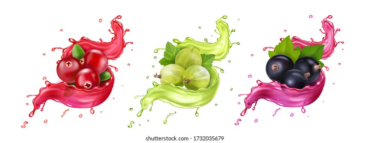 Splash of juice. Cranberry, gooseberry, black currant summer fruits and berries. 3d realistic vector icon set,