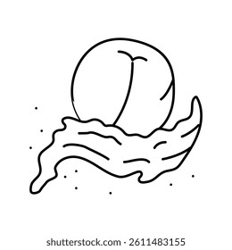 splash peach fruit line icon vector. splash peach fruit sign. isolated contour symbol black illustration