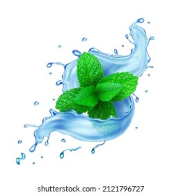 Splash of water with leaves of mint. Tea leaf in transparent splashing water 3d realistic vector.