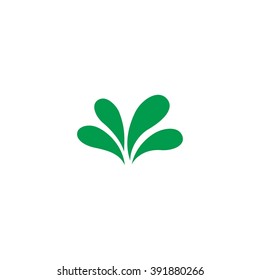 splash water logo