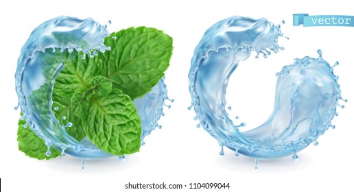 Splash water and mint. 3d realistic vector