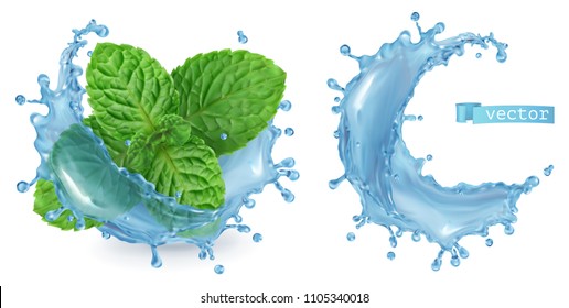 Splash water and mint. 3d realistic vector