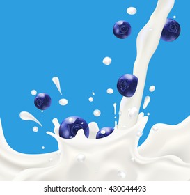 Splashing milk on blue background with falling blueberry