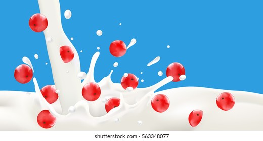 Splashing milk on blue background with falling redcurrant