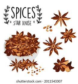 splces Star Anise background.Eps 10 vector.