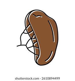 spleen human organ color icon vector. spleen human organ sign. isolated symbol illustration