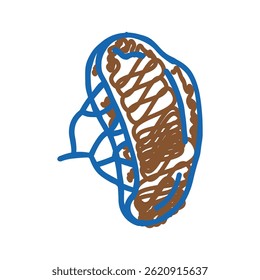 baço de órgão humano ícone doodle esboço vetor. baço de órgão humano sinal. símbolo isolado ilustração