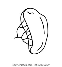 spleen human organ line icon vector. spleen human organ sign. isolated contour symbol black illustration