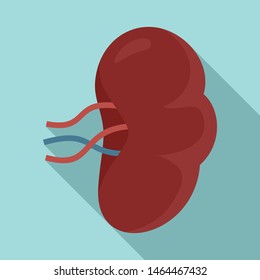 Spleen icon. Flat illustration of spleen vector icon for web design