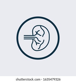 spleen icon vector from human organ collection. Thin line spleen outline icon vector illustration. Linear symbol for use on web and mobile apps, logo, print media